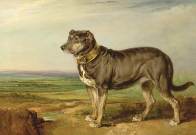 スペインのブラッドハウンド、1818〜20年頃の「ヴィック」の肖像 作： James Ward